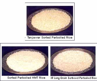 Parboiled Rice